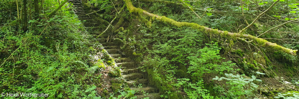 moosbewachsene Steintreppe