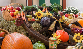 Feldfrüchte für den Erntedankaltar